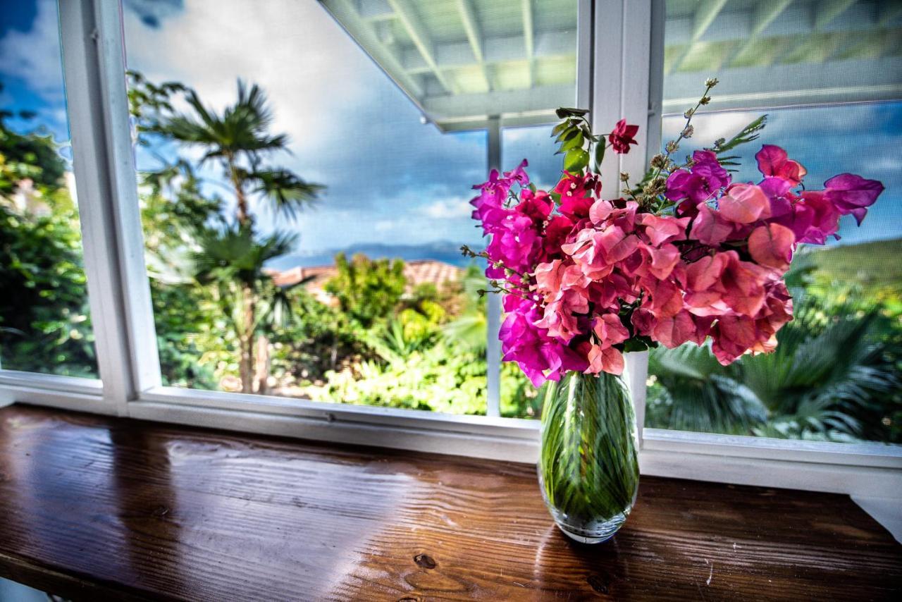 Papaya Suite At Sunset Serenade Cruz Bay Exteriér fotografie